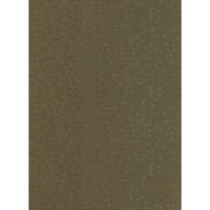 Falpanel SPC 1200x2800x3 mm