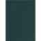 Falpanel SPC 1200x2800x3 mm